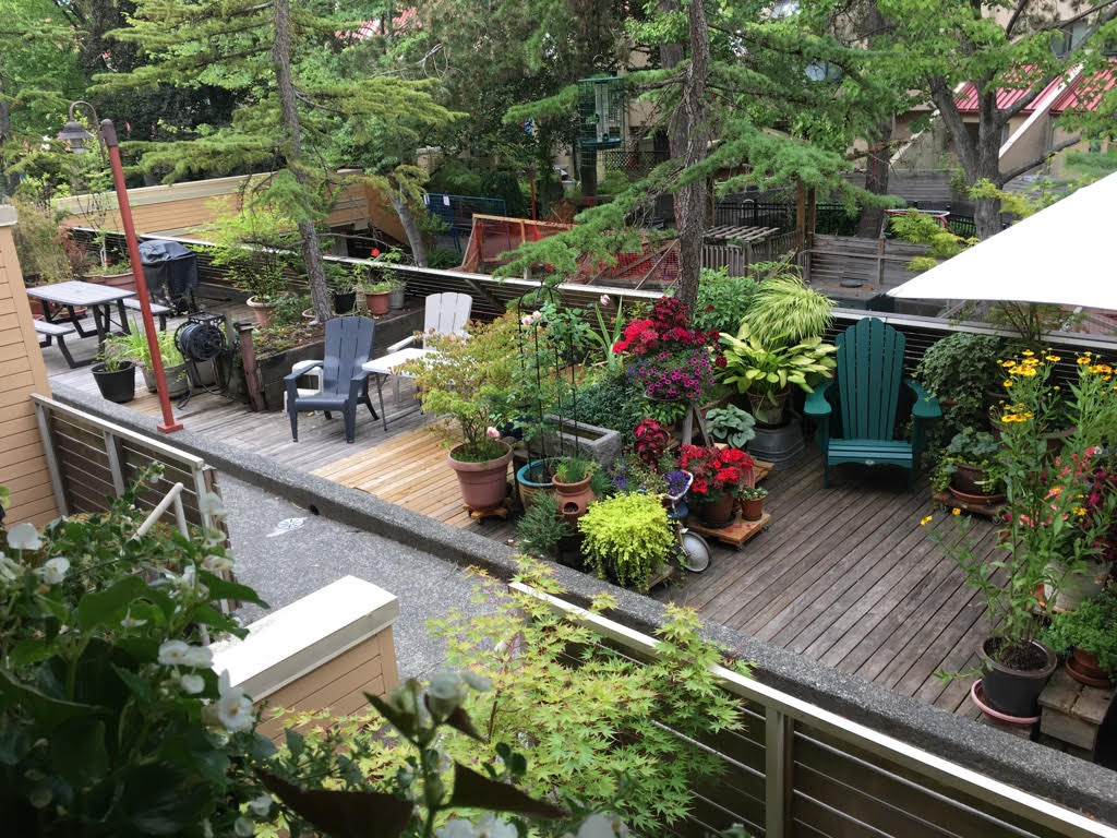 An example of a shared walkway and patio corridor at False Creek Co-op