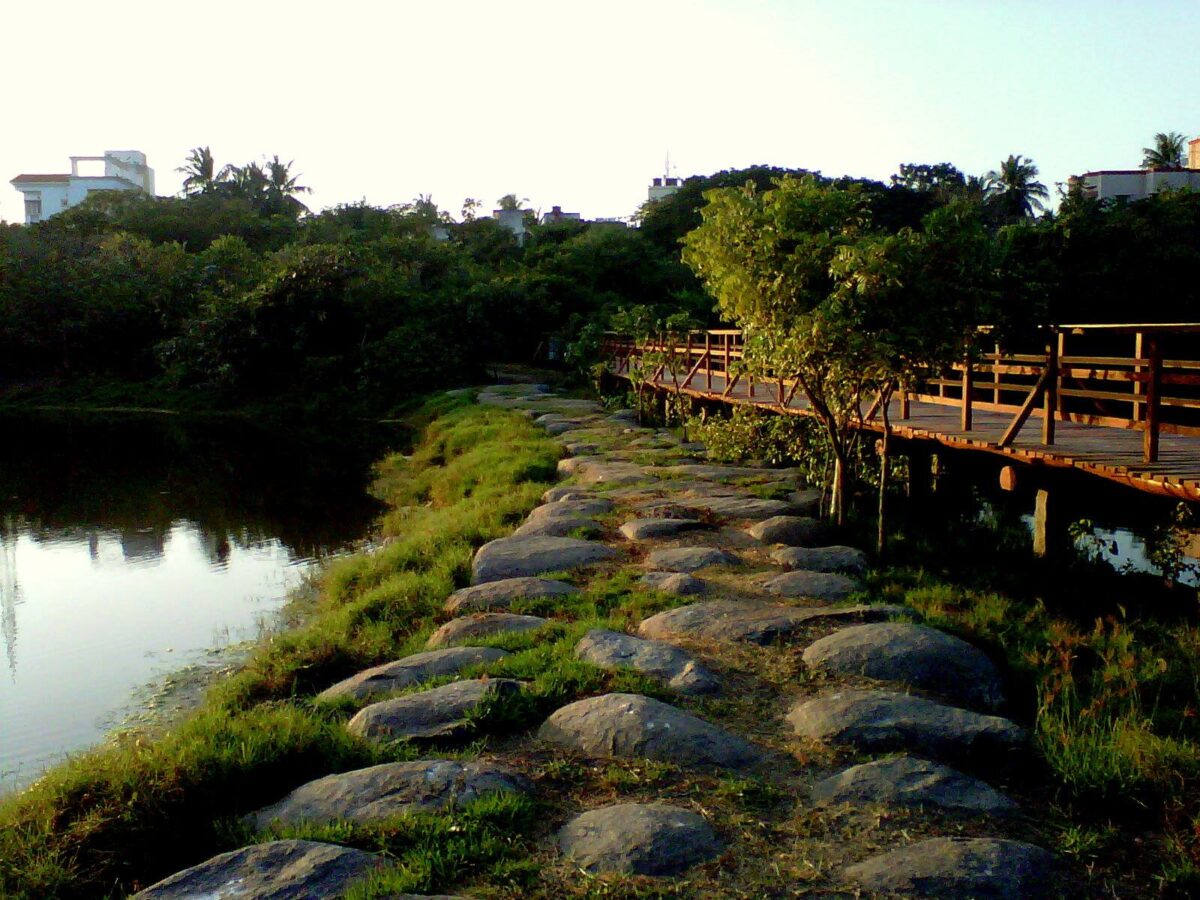 Adyar Eco Park in Chennai, India