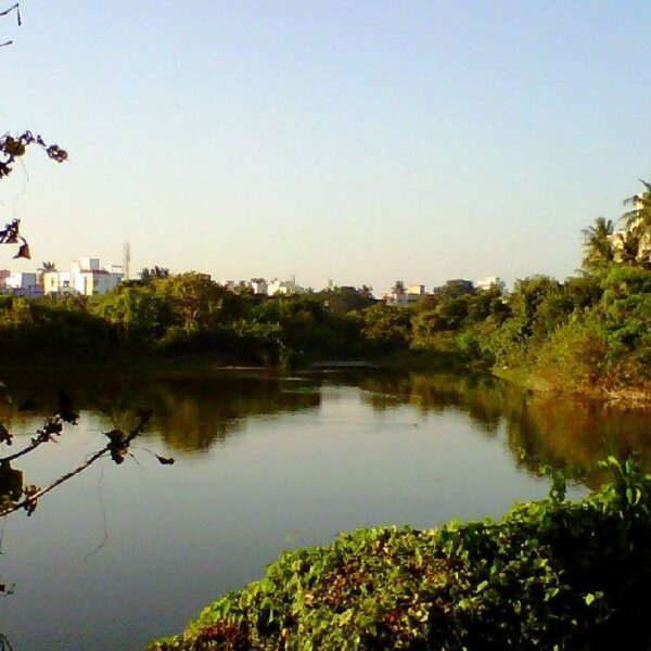 Adyar Eco Park in Chennai, India.