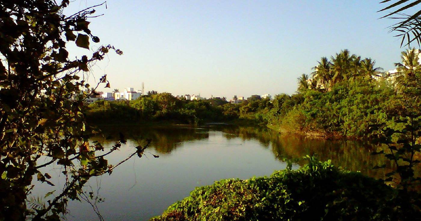 Adyar Eco Park in Chennai, India.