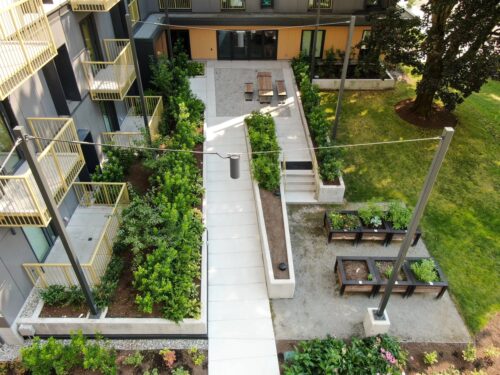 A top-down view of accessible picnic tables, patios, and community garden beds at non-market housing community Timbre and Harmony.