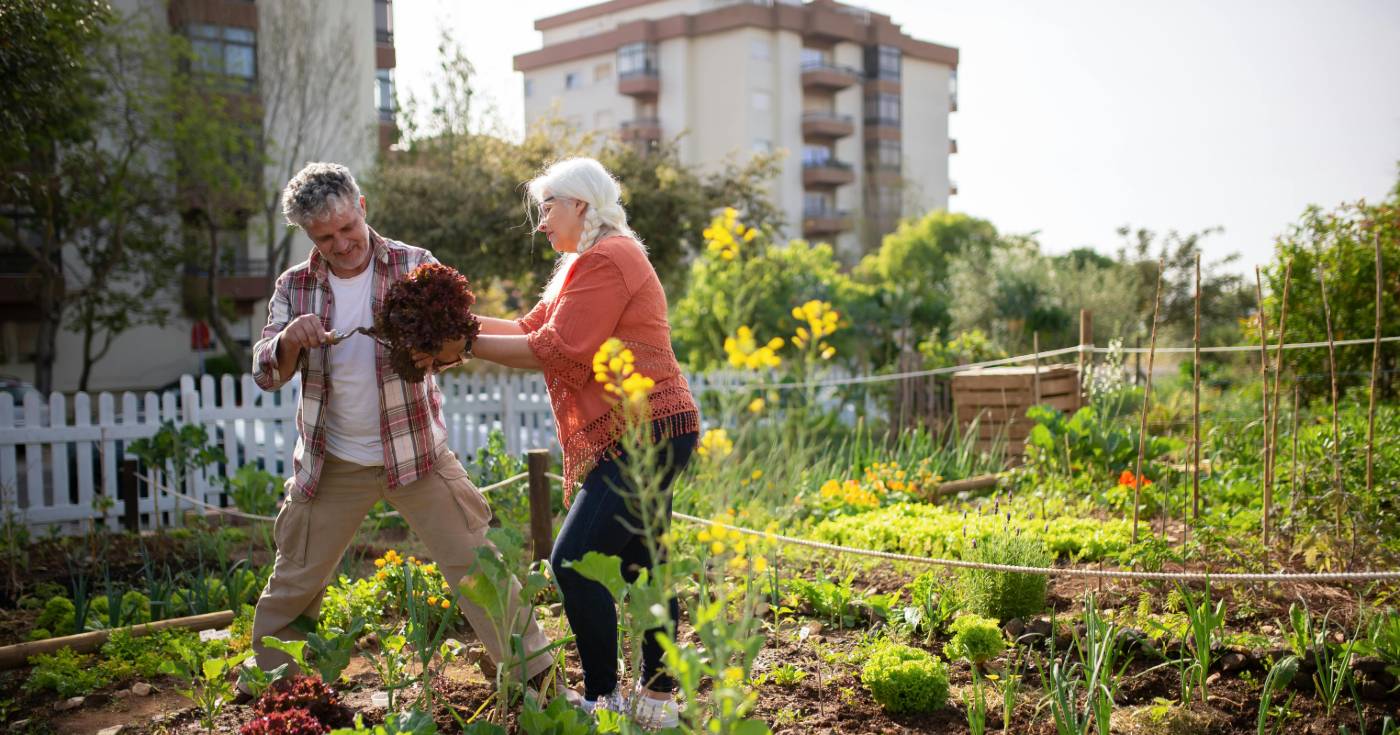 A middle-aged man helps an older adult woman plant flowers in an urban community garden